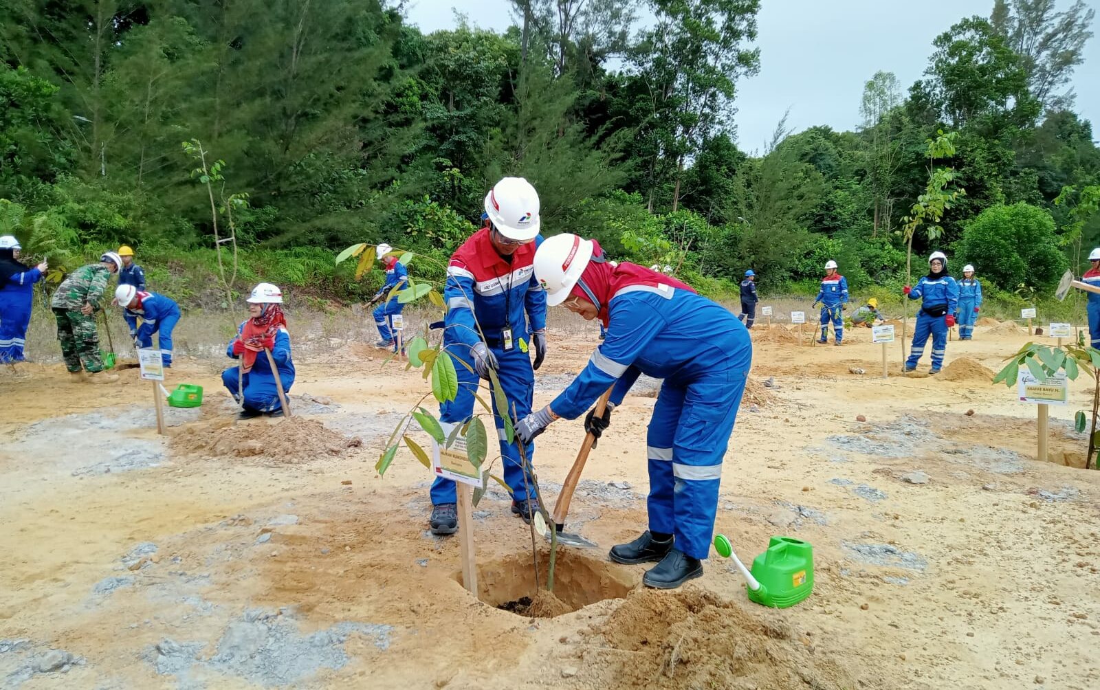 Peringati HUT Ke-4, KPB Lakukan Penanaman Pohon