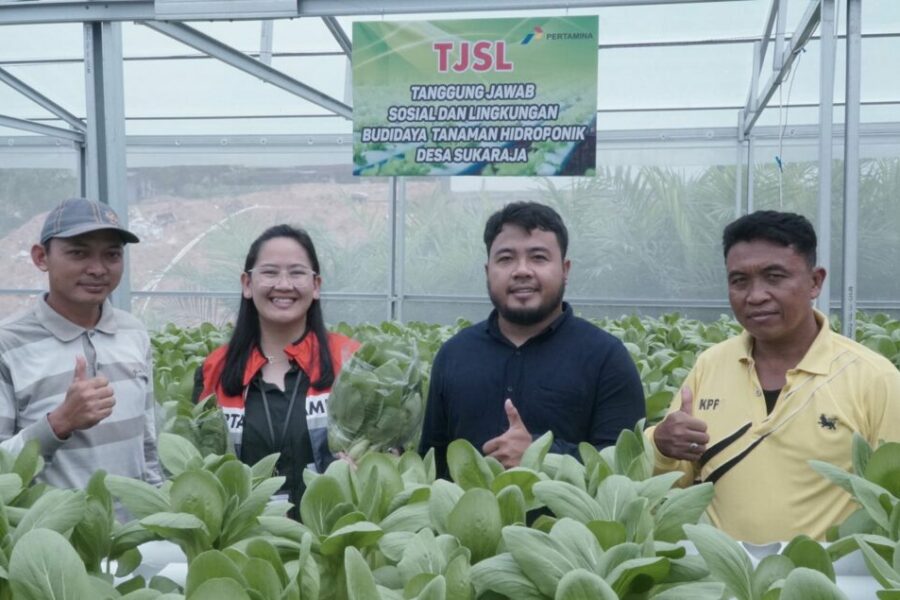 Dorong Pemberdayaan Budidaya Komoditas Pangan Hidroponik, Pertamina Salurkan TJSL di Penajam Paser Utara