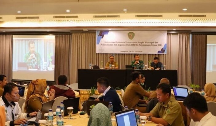 Gelar Sinkronisasi Dokumen Perencanaan Jangka Menengah, Pemkab PPU Susun Renja dan Renstra 2024-2026