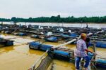 Tingkatkan Produktifitas di Sektor Perikanan, Desa Ponoragan Gandeng Peran Pemuda