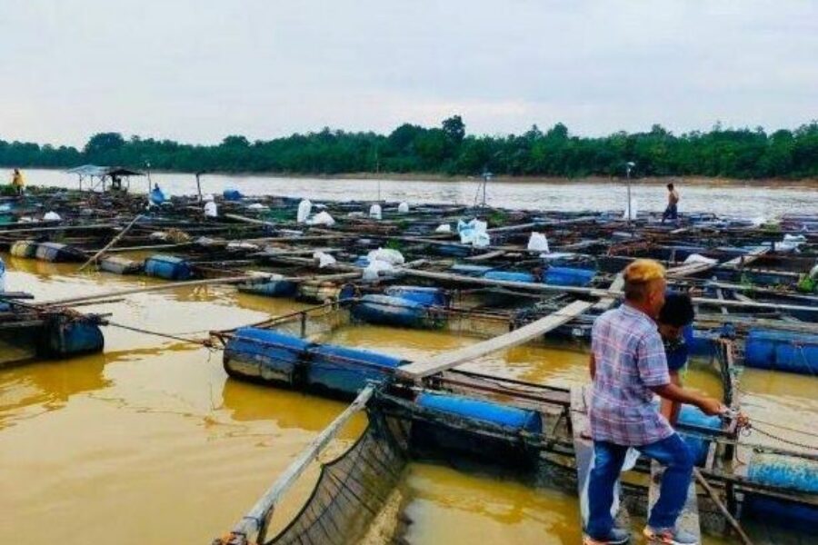 Tingkatkan Produktifitas di Sektor Perikanan, Desa Ponoragan Gandeng Peran Pemuda