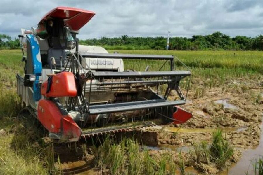 Kecamatan Muara Kaman Dukung Penuh Pembangunan Kawasan Pertanian Terintegrasi