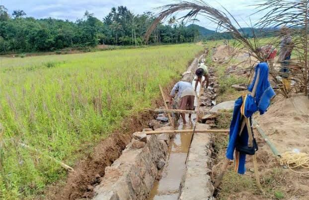 Kembangkan Sektor Pertanian, Desa Loh Sumber Bangun Saluran Irigasi