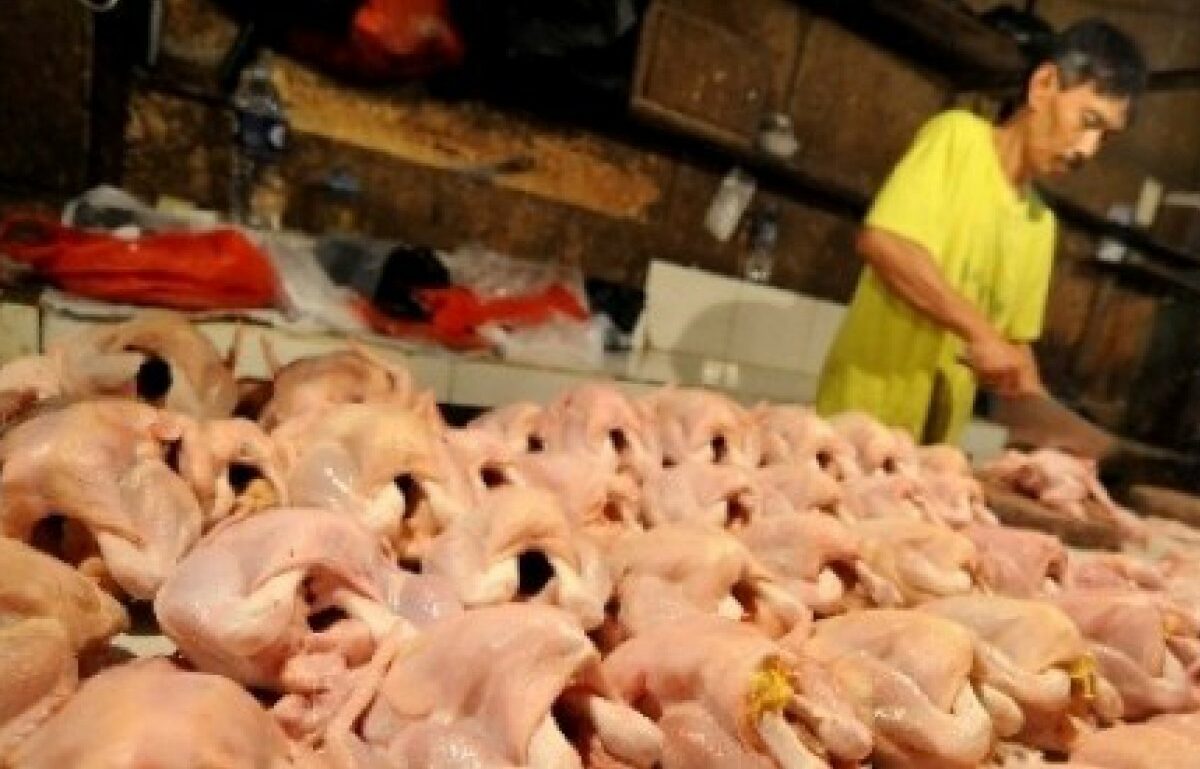 DKP PPU Ajak Masyarakat Mengetahui Manfaat Konsumsi Daging Ayam untuk Kesehata