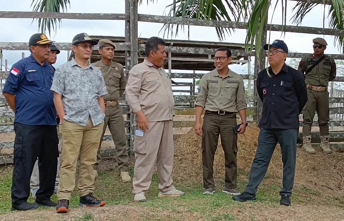 Pj Bupati PPU dan Kepala DKP Tinjau Peternakan Sapi: Pemanfaatan Limbah Sapi Perlu Ditingkatkan
