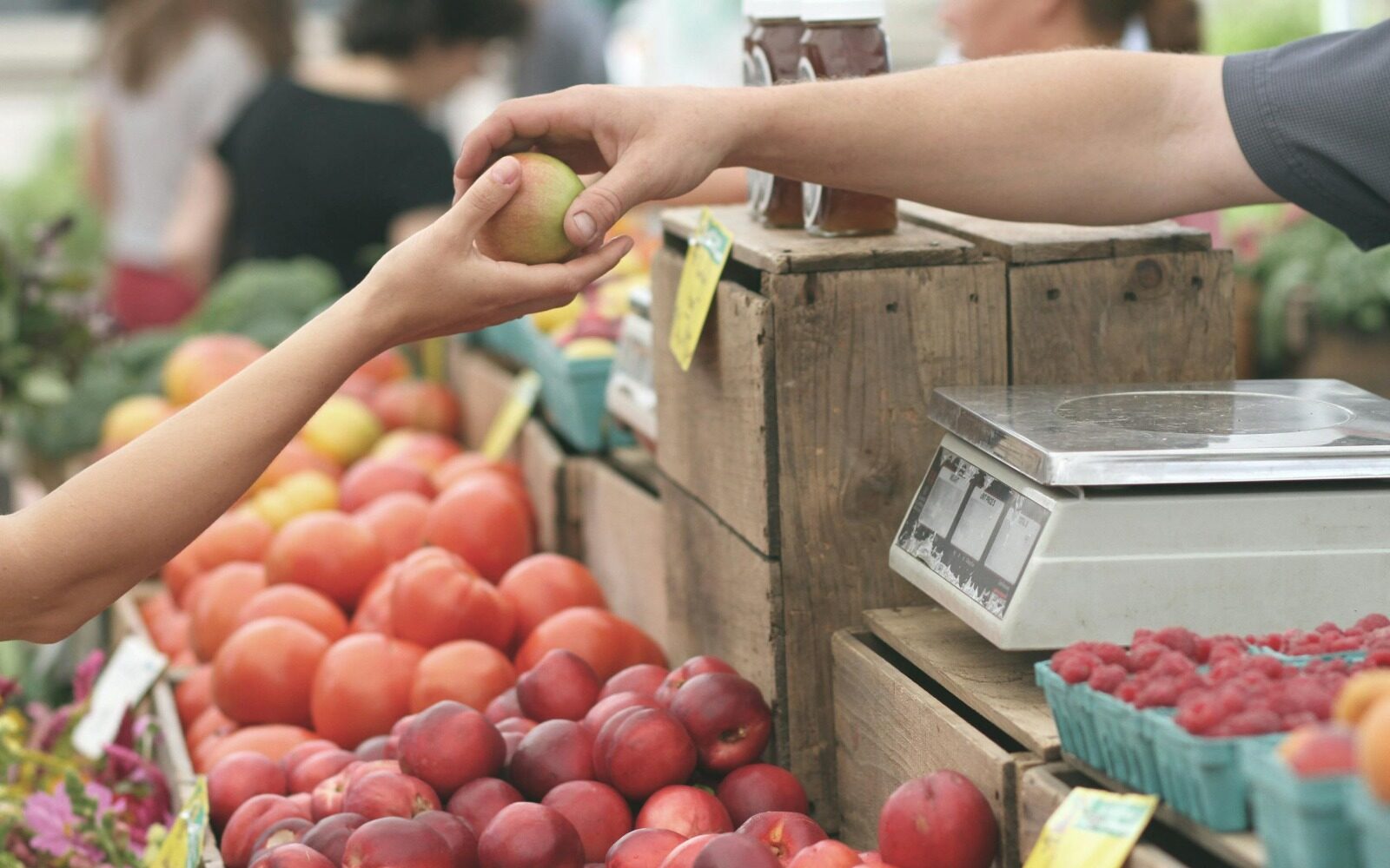 Tips Menyimpan Buah agar Tetap Segar dan Bergizi ala DKP PPU