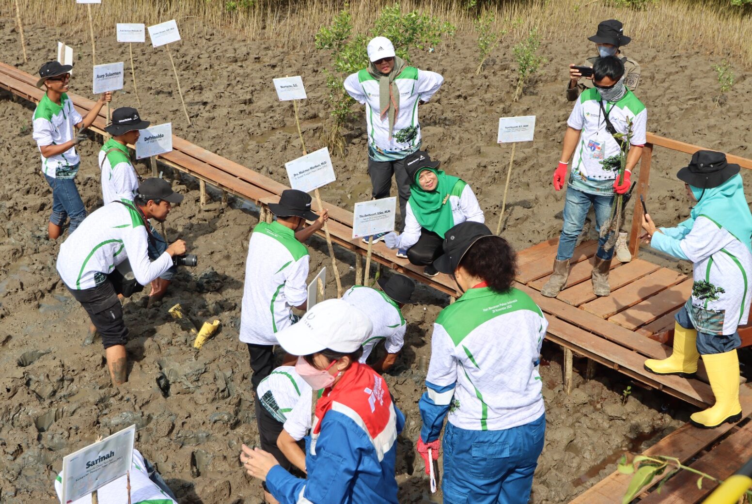 Pemkab PPU dan KPB Kolaborasi Tanam Ribuan Pohon Mangrove