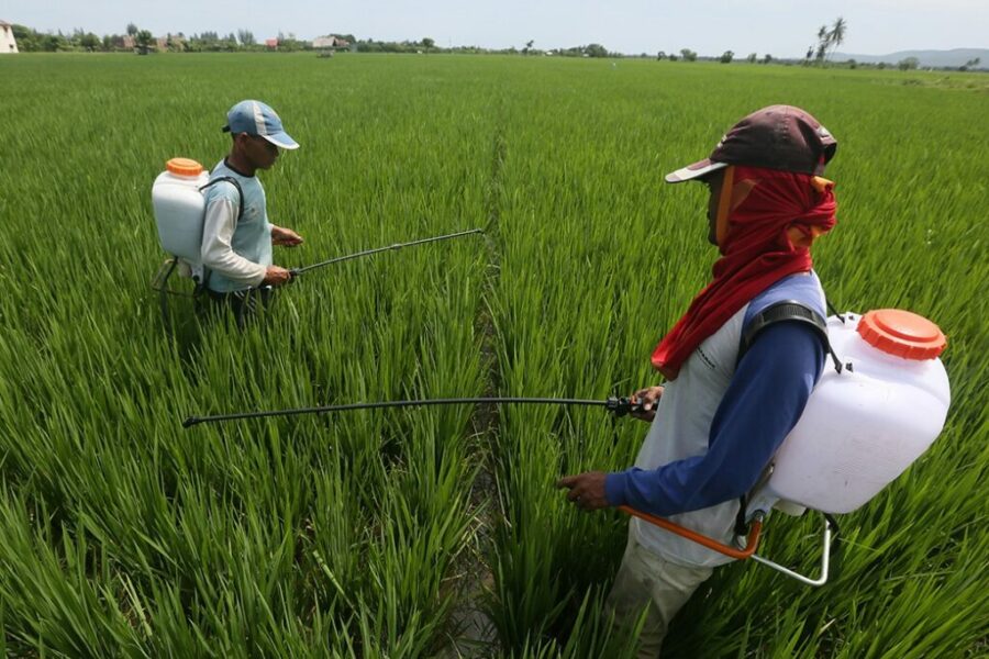 Perkembangan Zaman dan Tantangan Ketahanan Pangan Desa: Optimalisasi Lahan Pertanian Babulu Sebagai Ikon