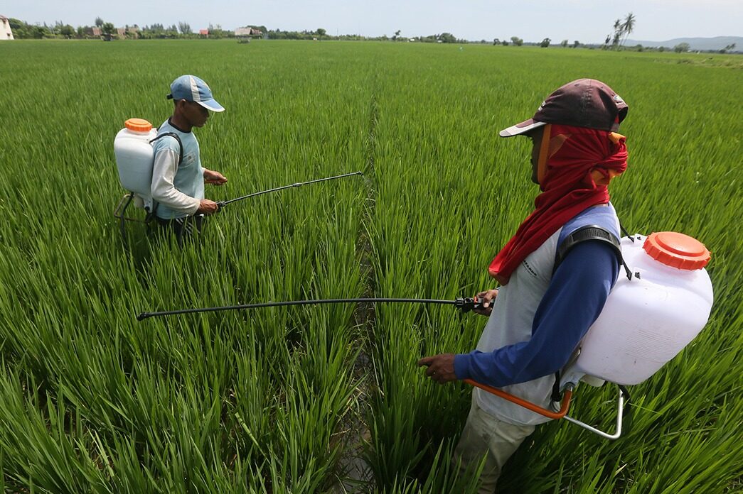 Perkembangan Zaman dan Tantangan Ketahanan Pangan Desa: Optimalisasi Lahan Pertanian Babulu Sebagai Ikon