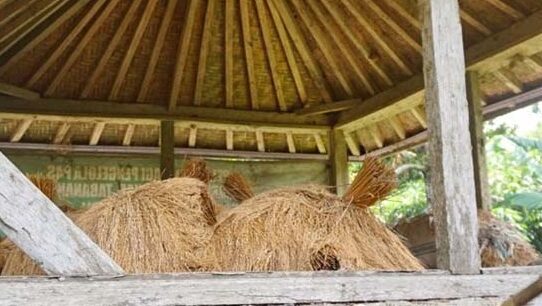 DKP PPU Dukung Lumbung Pangan Masyarakat untuk Meningkatkan Ketahanan Pangan dan Gizi Lokal