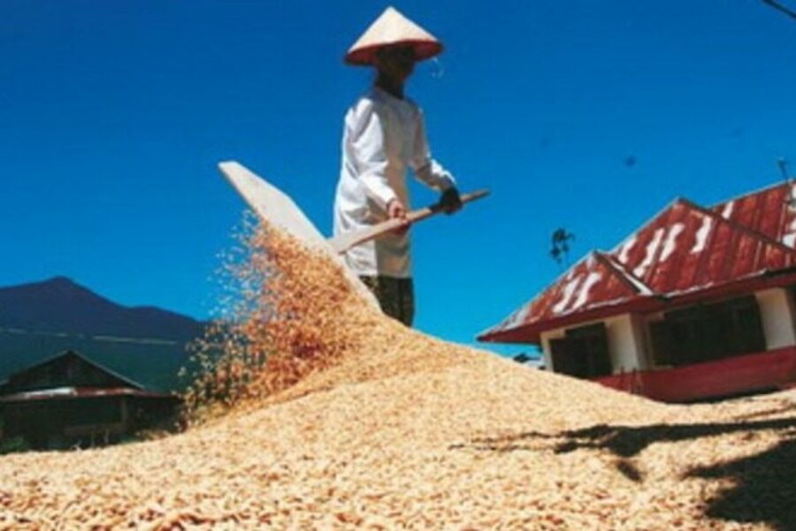 Penguatan Pangan dan Gizi Prioritas, DKP PPU Menyongsong Masa Depan yang Lebih Sehat