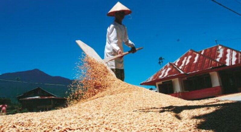 Penguatan Pangan dan Gizi Prioritas, DKP PPU Menyongsong Masa Depan yang Lebih Sehat