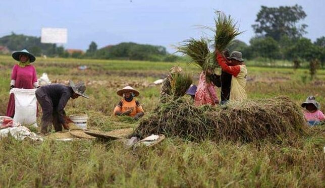 DKP PPU Dukung Percepatan Standar Inovasi Berkelanjutan Wujudkan Ketahanan Pangan Nasional