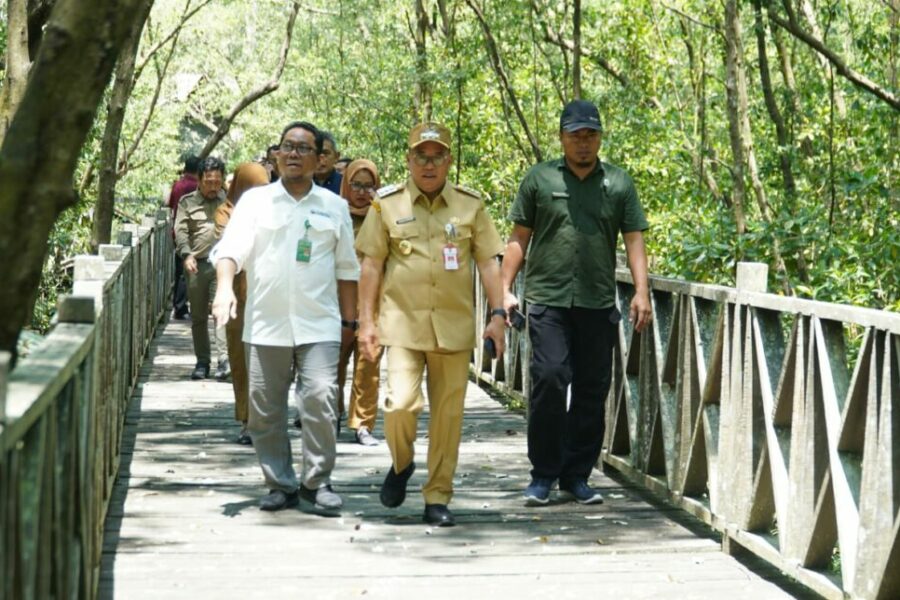 Bersama KLHK, Pemkab PPU Berencana Hidupkan Ekowisata Mangrove Kampung Baru