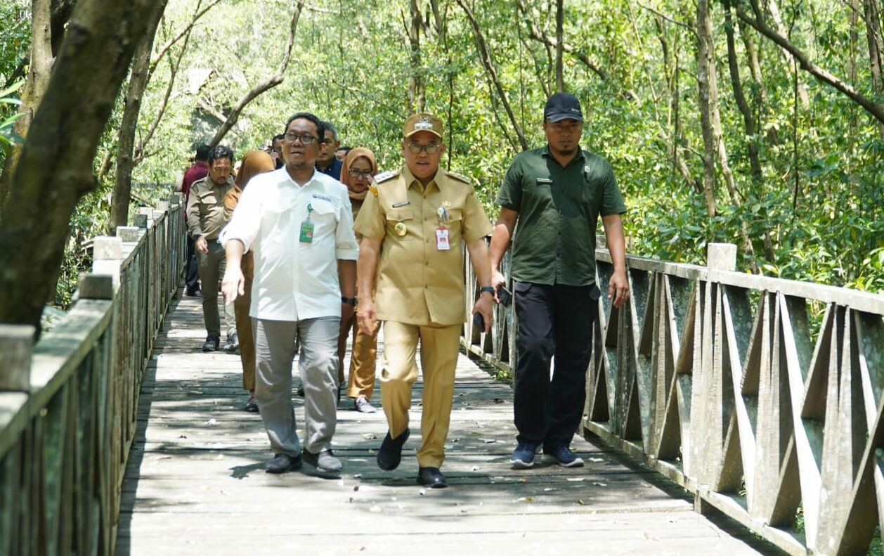 Bersama KLHK, Pemkab PPU Berencana Hidupkan Ekowisata Mangrove Kampung Baru