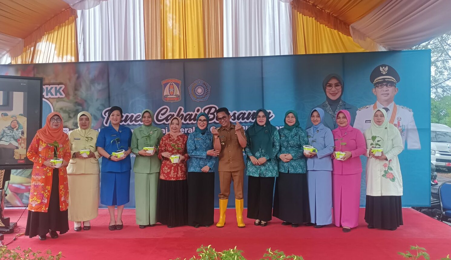 Gerakan Menanam Cabai Serentak se Indonesia, Nurlena: Dapat Mengendalikan Inflasi